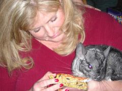 Christmas 2007 with Chiqui our chinchilla