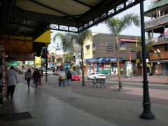 Shopping at Revolucion Ave