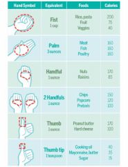 hand   food sizes portions