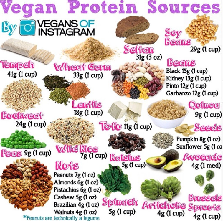proteins-sources-in-vegan-vegetarian-diet-infographic.jpg
